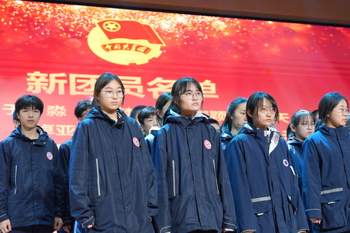 2图片 新团员戴党徽