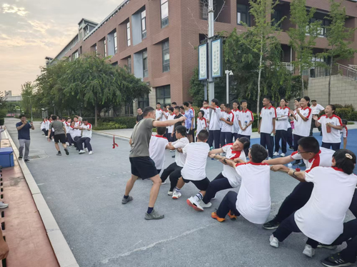 图片11