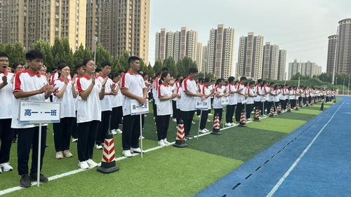 图片8